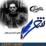 شنبه‌ها با شعر(شعری از امیرحسین تیکنی)